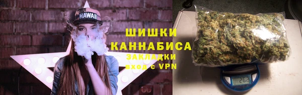 PSILOCYBIN Верея