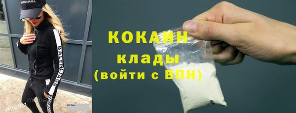PSILOCYBIN Верея