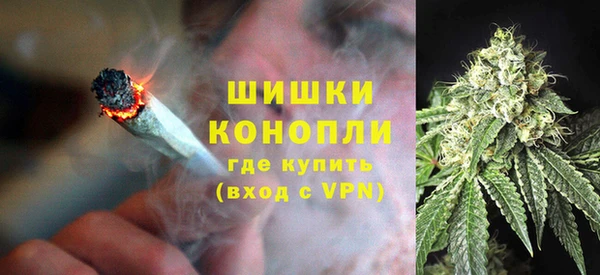PSILOCYBIN Верея
