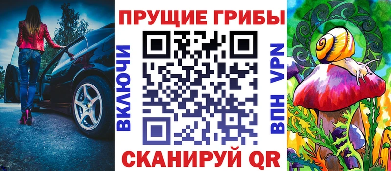Купить  Устюжна  Псилоцибиновые грибы Cubensis 