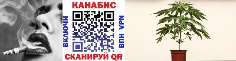 МАРИХУАНА сатива  Купить  Устюжна 